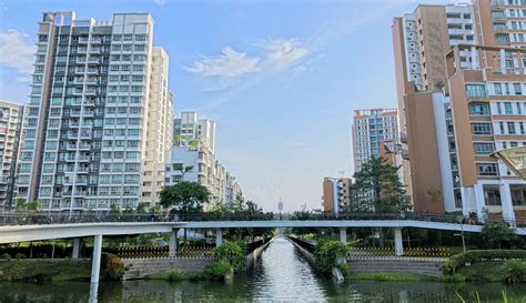 4 Green Features In Hdb Towns That Are Helping Save The World