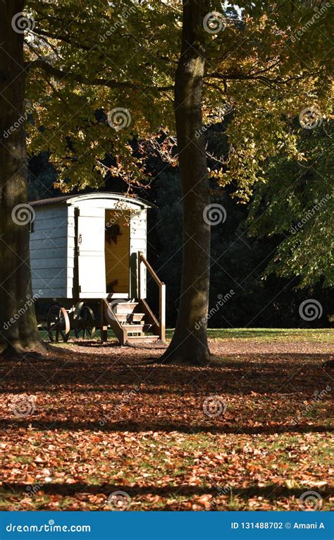 Cabin In The Woods Vintage Caravan Stock Photo Image Of Leaves