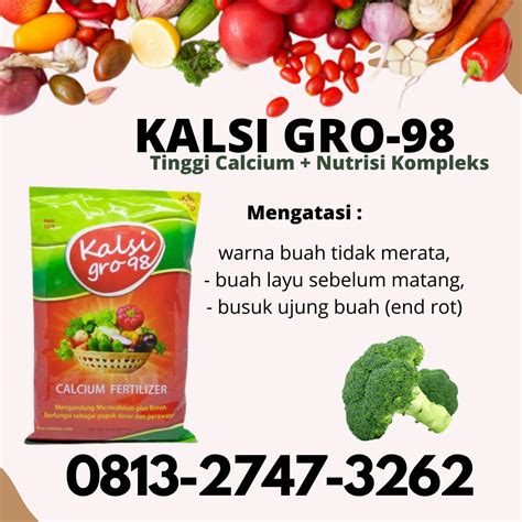 Terbukti 081327473262 Distributor Pupuk Calsium Pembesar Umbi Jahe