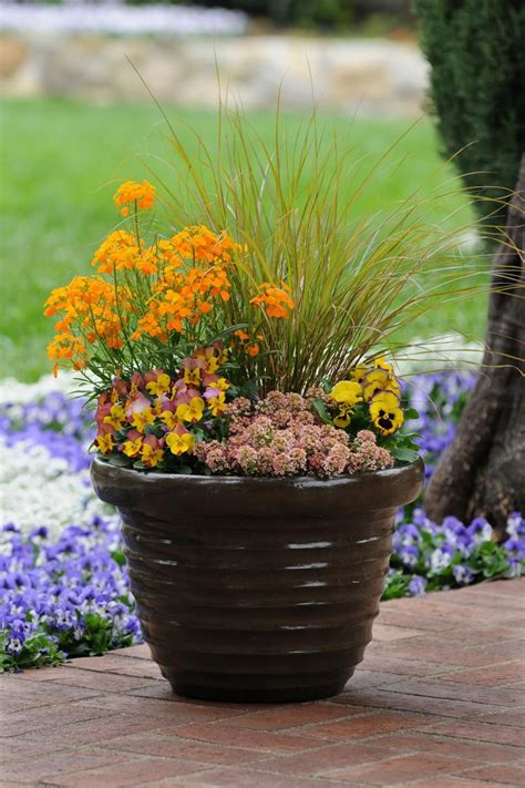 Discover Fall Container Garden Recipes Filled With Plants