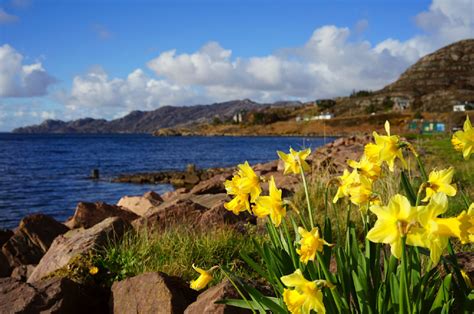 Tigh An Eilean