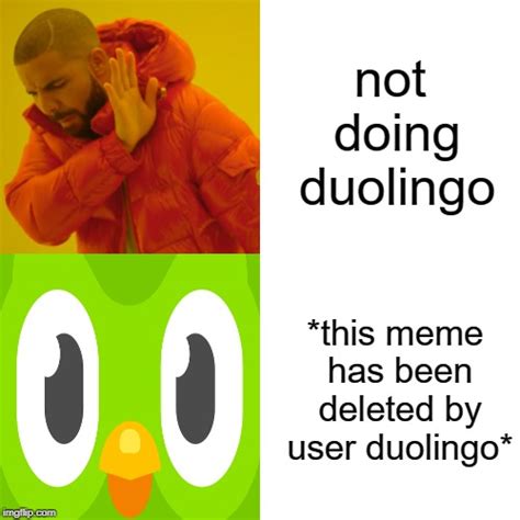 Funny Duolingo Memes Funny Memes Memes Duolingo