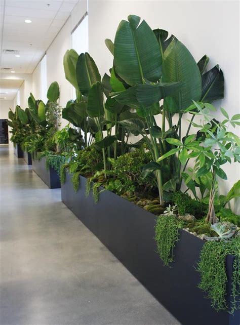 Biophilic Design Nature In The Space Anooi Interior Design Plants