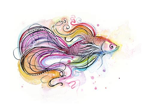 Betta Fish Watercolor Painting By Olga Shvartsur