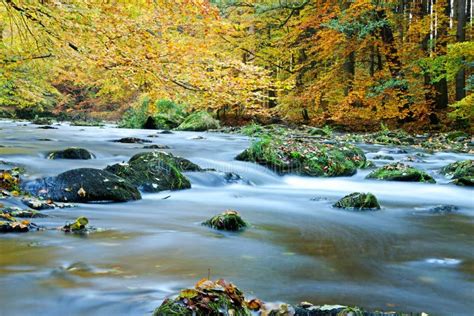 River In Autumn Stock Photo Image Of Motion Color List 80735694