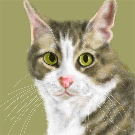 A Custom Cat Digital Art Pet Portrait From A Wife To Her Husband