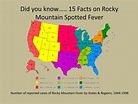 PPT - Rocky Mountain Spotted Fever PowerPoint Presentation - ID:2031033