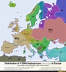 Rib-U106 Distribution of Y-DNA Haplogroups susciases) in Europe ...