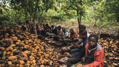 Child Labour In Cocoa Farms And How Tonys Chocolonely Is Changing The