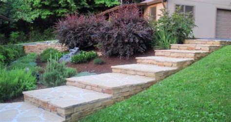 Why can they be so problematic? Plants & Shrubs - Safari Lawn and Landscape of Cookeville, TN