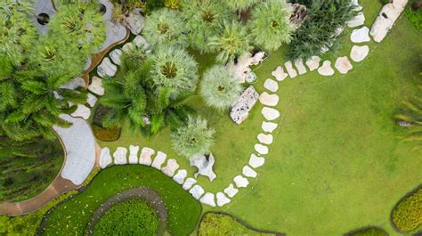 Premium Photo Aerial View Of Beautiful Green Garden
