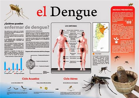 Informacion Sobre El Dengue GuÍa Para Manejo ClÍnico Del Dengue Pdf