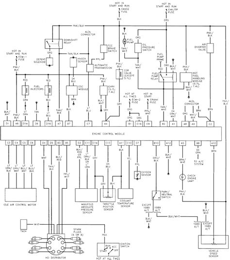 Shematics electrical wiring diagram for caterpillar loader and tractors. Winnebago Motorhome Wiring Diagram - Wiring Diagram Schemas