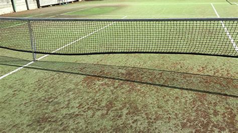 Kill Moss On Tennis Court And Spray For Mould And Lichen