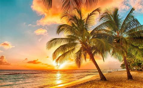 60 Tropical Hawaiian Sunset Wallpapers Download At Wallpaperbro