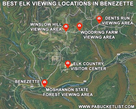 The 15 Best Elk Viewing Destinations In Pennsylvania