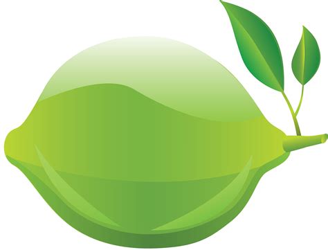 Lime Png Transparent Image Download Size 5539x4225px