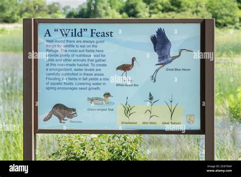 A Sign Informing Of Wildlife In Front Of A Marsh And Nature Refuge In
