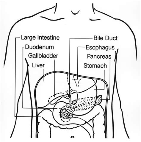 Upper Stomach Pains General Center