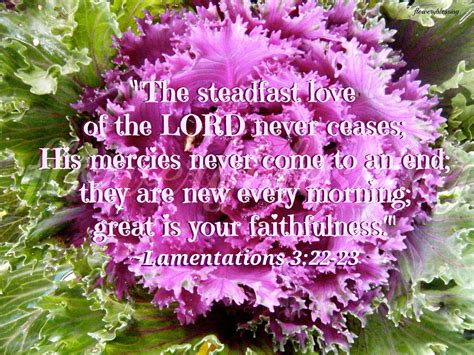 Flowery Blessing The Steadfast Love Of The Lord Never Ceases His