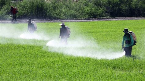 Monsanto Bets 45 Billion On A Pesticide Soaked Future Mother Jones