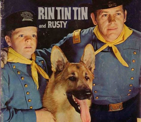 Rin Tin Tin One Of The Most Iconic Dogs In The Movie And Tv Industry