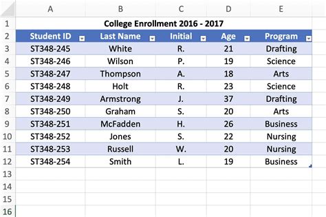 Excel Data With Databases Tables Records And Fields