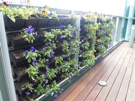 Growing A Deck Balcony Or Patio Vegetable Garden Dengarden