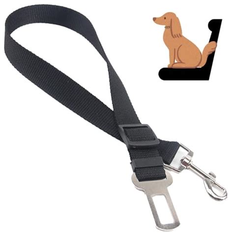 Ceinture Pour Chien Les Meilleurs Produits Dans La Comparaison