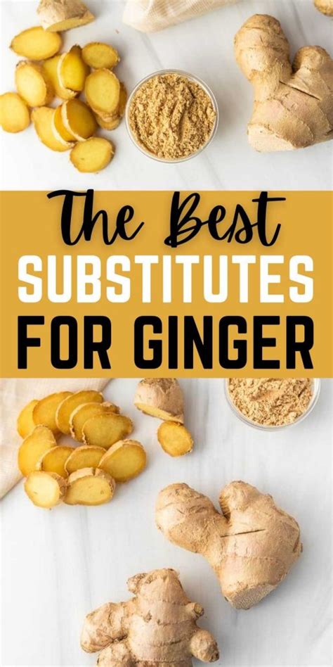 the best ginger substitutes eating on a dime