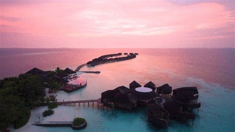 Lily Beach Resort And Spa In Maldives Uk