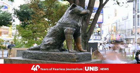 100 Years After His Birth Worlds Most Loyal Dog Hachiko Still Winning