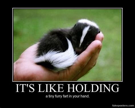 Philosophy Baby Animals Pictures Cute Baby Animals Baby Animals