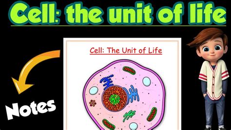 Cell The Unit Of Life Best Handwritten Notes Class 11 Biology