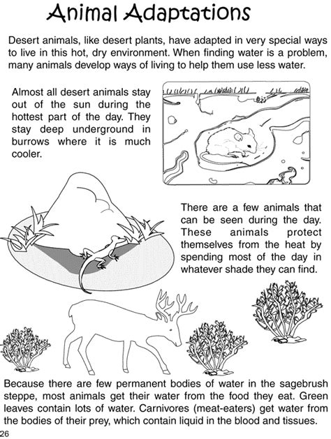 Animal Adaptations Worksheets 4th Grade Pdf Thekidsworksheet