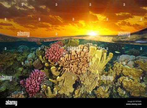 Underwater Sunset Hi Res Stock Photography And Images Alamy
