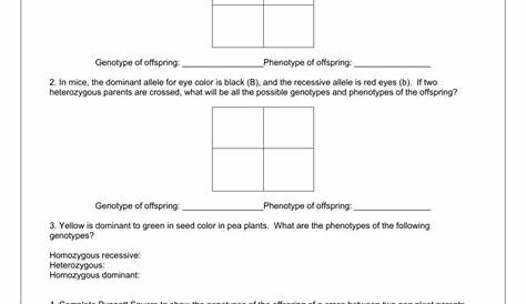 punnett square practice worksheets 1 answer key