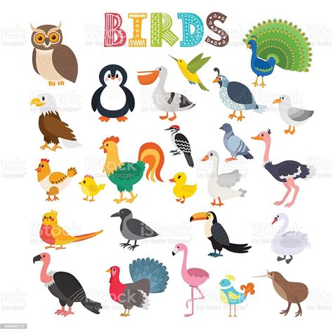Vector Illustration Of Different Kind Of Birds Stock Illustration
