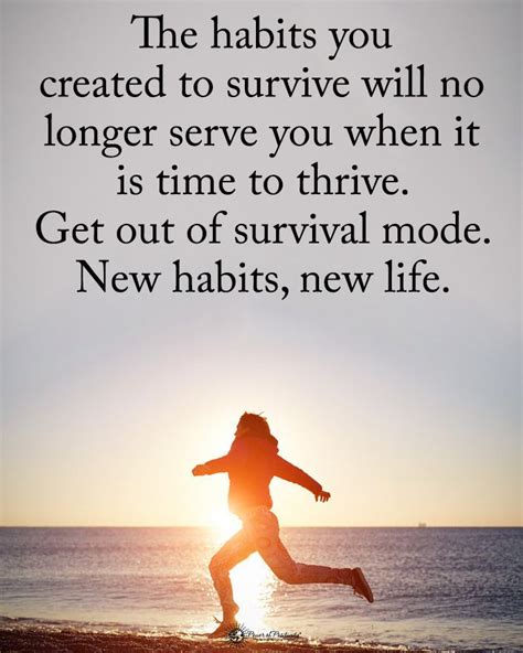 Double Tap If You Agree The Habits You Created To Survive Will No