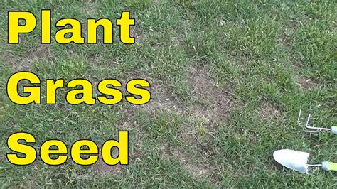 How To Plant Grass Seed Full Tutorial Youtube