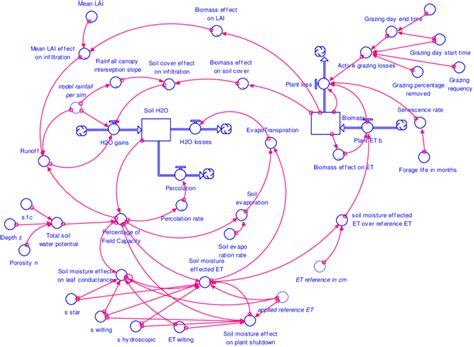 Stock Flow Model Parameterized In Stella™ Modeling Software Download