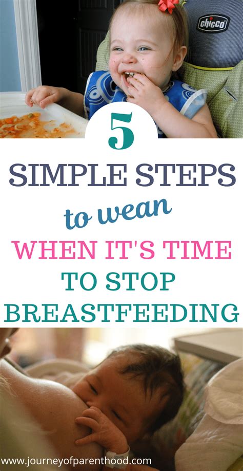 5 Simple Steps To Weaning From Breastfeeding The Journey Of Parenthood