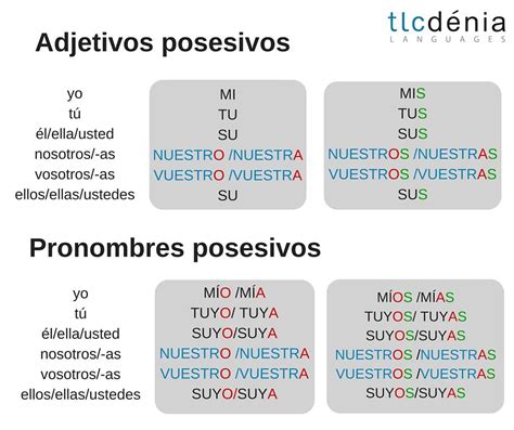 Gramática En Español Los Posesivos Adjetivos Y Pronombres Spanish