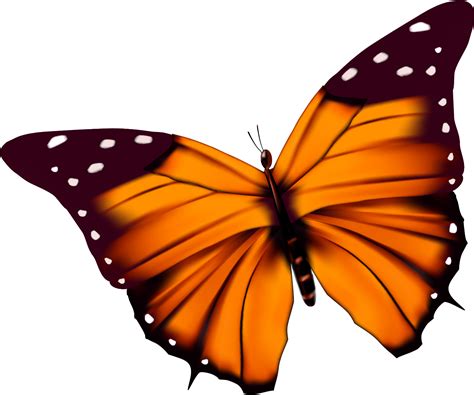 Find the perfect butterfly cartoon stock photo. Cartoon Butterfly With Transparent Background Clipart ...