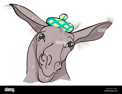 Donkey Head Cartoon Hi Res Stock Photography And Images Alamy
