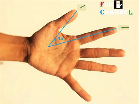 Space Between The Fingers And Your Personality In Palmistry