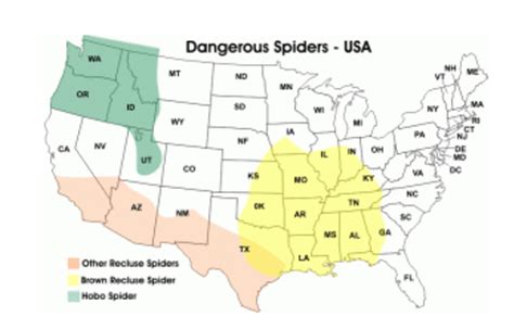 Brown Recluse Area Map Us World Maps