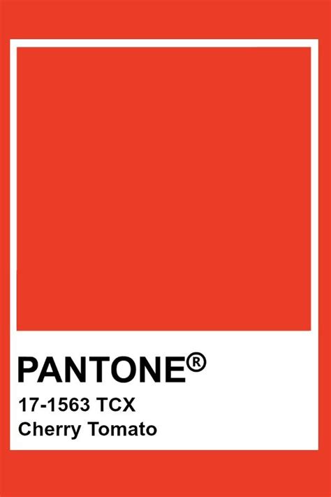 Pantone Cherry Tomato Pantone Tcx Rouge Pantone Paleta Pantone