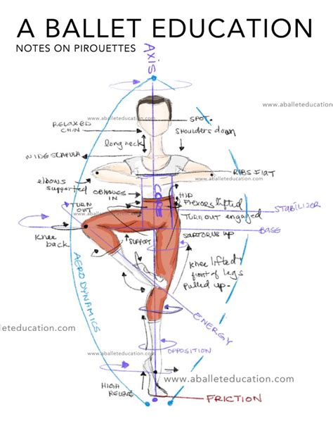 A Ballet Education Ballet Technique Dance Technique Dance Workout