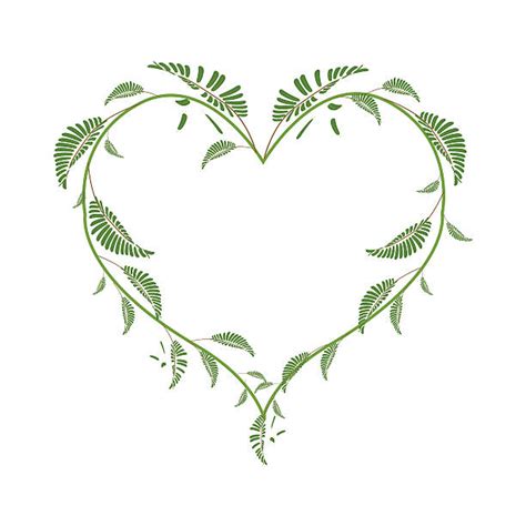 Royalty Free Heart With Vines Clip Art Vector Images And Illustrations